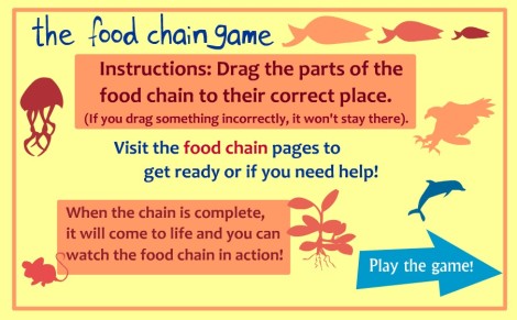Food Chain Game