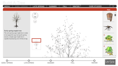 Build a Tree