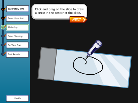 Virtual Labs Gram Staining Science Game