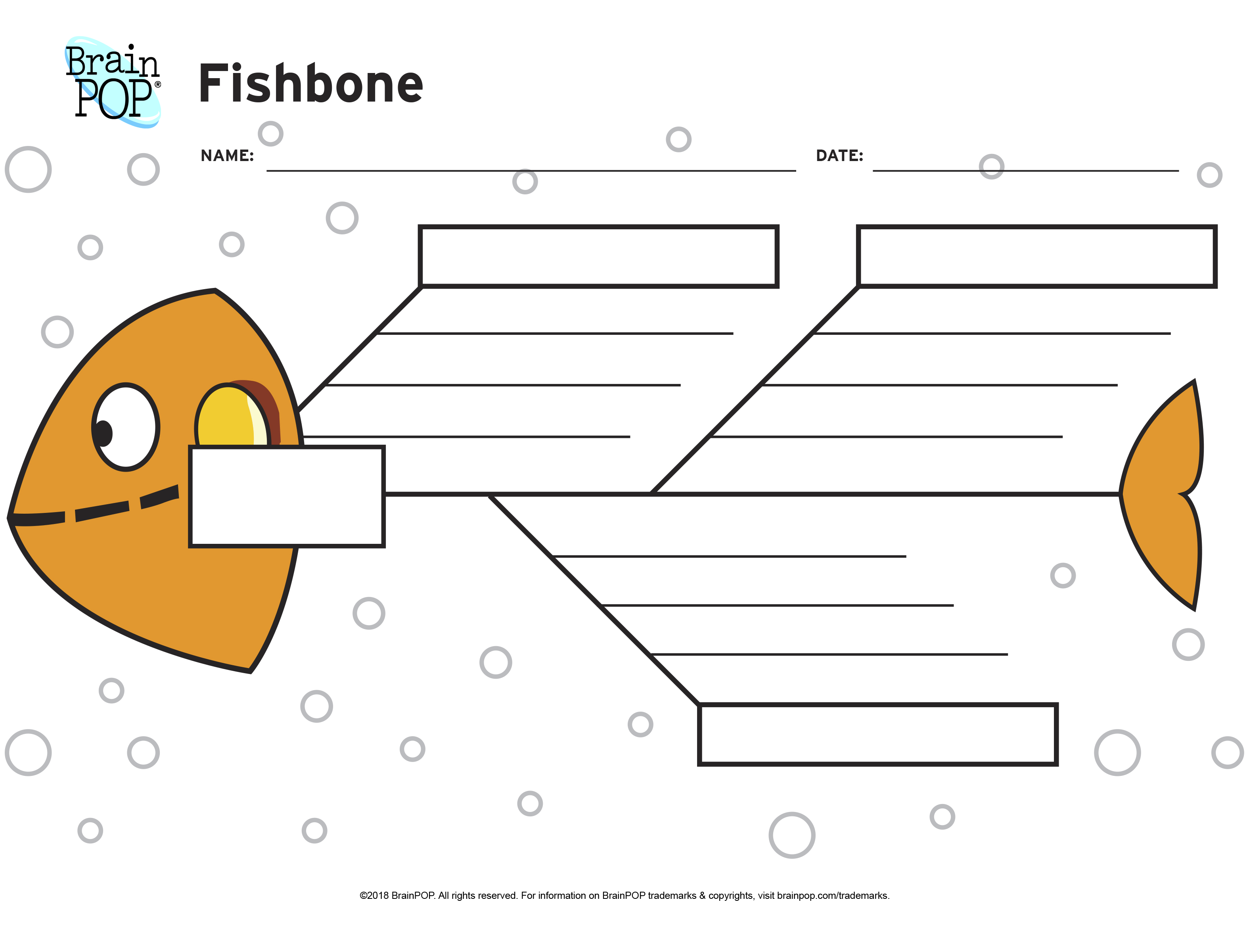 Cause and Effect Fishbone Graphic Organizer BrainPOP Educators