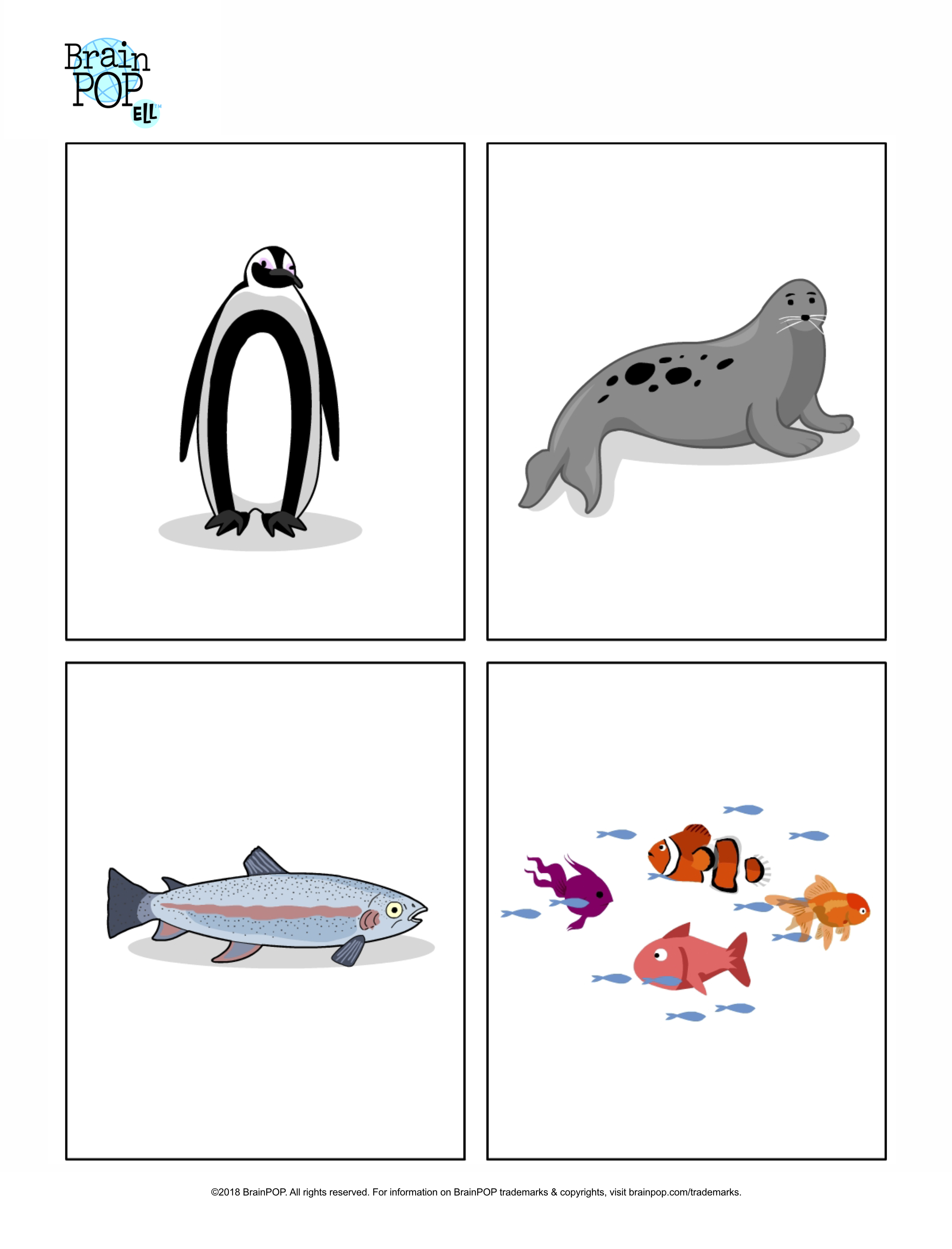 ELL Image Prompt: Penguin, Fish, Seal