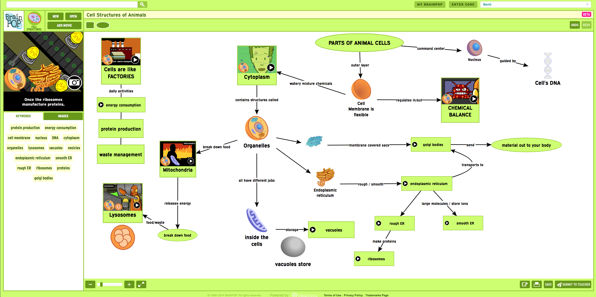 Cell Structures Concept Map Created With Make A Map Brainpop