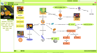 scientific method map for kids