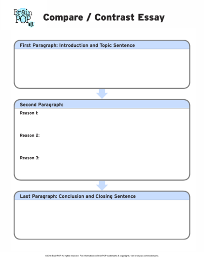 compare and contrast essay organizer