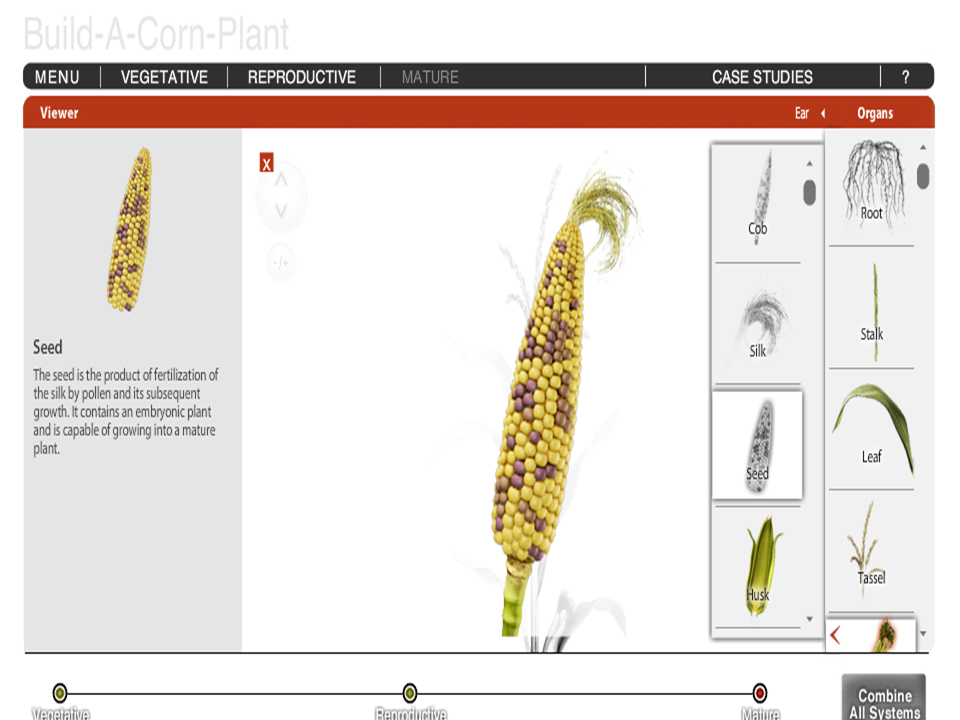 Build-A-Plant: Corn